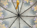 Зонт женский Zicco, арт.2375_product